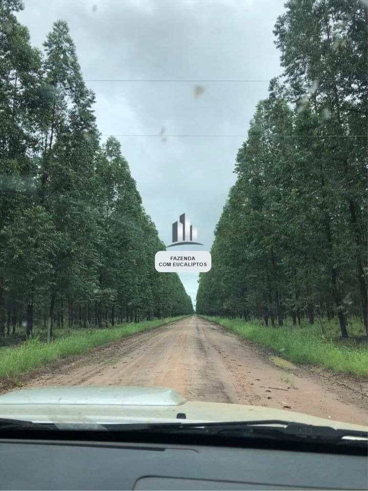 Fazenda - Venda - rea Rural - Bonito de Minas - MG